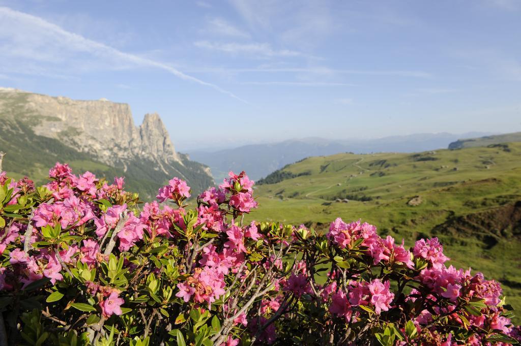 Apartment Sella Siusi Dış mekan fotoğraf
